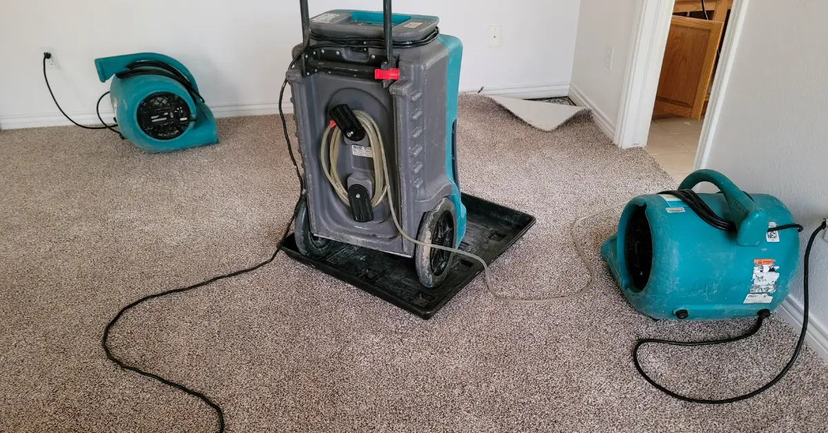 Room with partially lifted carpet and industrial drying equipment, including air movers and a dehumidifier, used to dry water-damaged flooring.