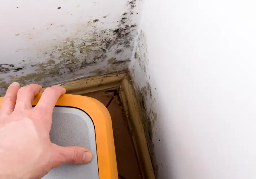 Person inspecting moldy corner of room.