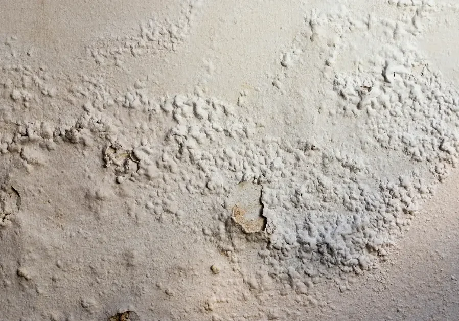 Textured wall with peeling paint