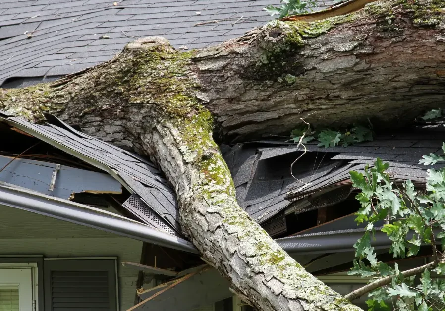 Tree crushes roof after storm